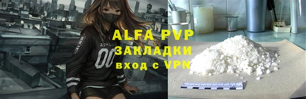 стафф Арсеньев