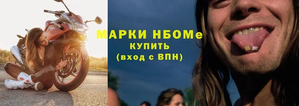 стафф Арсеньев