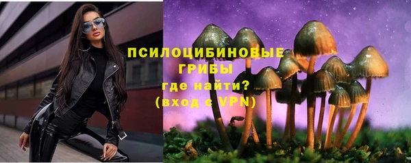 трава Беломорск