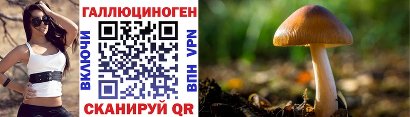 Купить где  Сим  Псилоцибиновые грибы ЛСД 